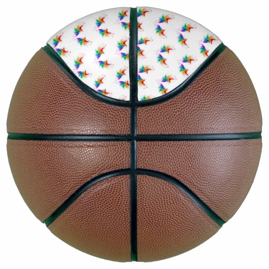 Fluffy Rainbow Wings Basketball (Rechts)