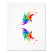 Fluffy Rainbow Wings Fotodruck (Vorne)
