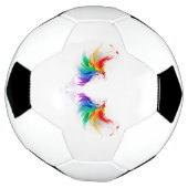 Fluffy Rainbow Wings Fußball (Gedreht)