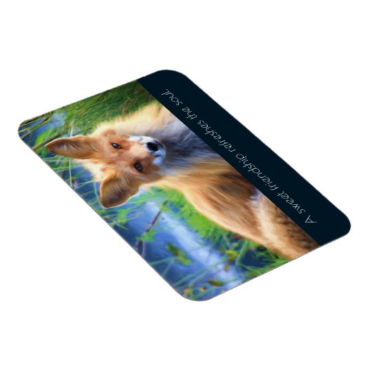 Fluffy Red Fox mit Freundschaftsangebot Magnet (Rechte Seite)