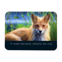 Fluffy Red Fox mit Freundschaftsangebot