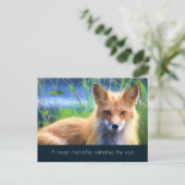 Fluffy Red Fox mit Freundschaftsangebot Postkarte (Stehend Vorderseite)