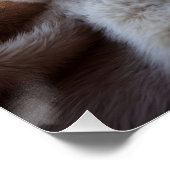 Fluffy red kitten playing with a tiny teddy bear,  poster (Ecke)