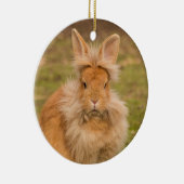 Fluffy Red Lionhead Bunny Rabbit Keramik Ornament (Rechts)