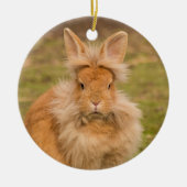 Fluffy Red Lionhead Bunny Rabbit Keramik Ornament (Vorne)