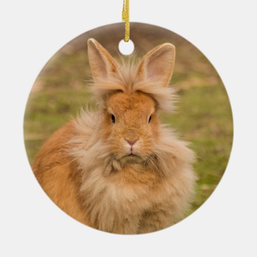 Fluffy Red Lionhead Bunny Rabbit Keramik Ornament (Hinten)