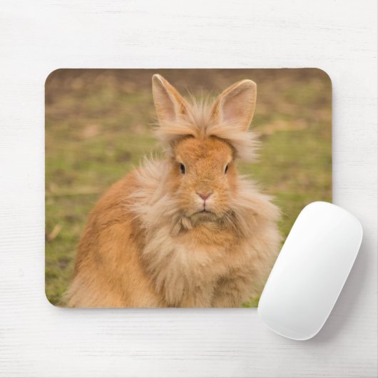 Fluffy Red Lionhead Bunny Rabbit Mousepad (Mit Mouse)