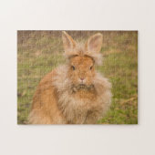 Fluffy Red Lionhead Bunny Rabbit Puzzle (Horizontal)