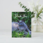Fluffy Russian Blue Cat Danke-Card Postkarte (Stehend Vorderseite)