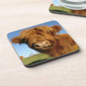 Fluffy Scottish Highland Cow - Blue Sky Getränkeuntersetzer (Linke Seite)