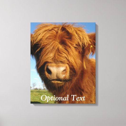 Fluffy Scottish Highland Cow - Blue Sky Leinwanddruck (Vorderseite)