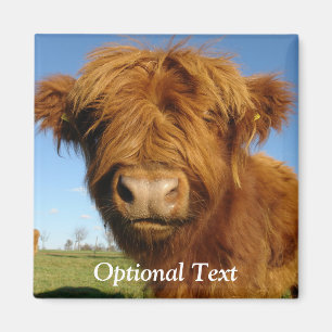 Fluffy Scottish Highland Cow - Blue Sky Magnet