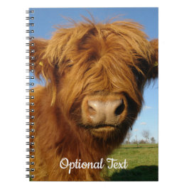 Fluffy Scottish Highland Cow - Blue Sky Notizblock