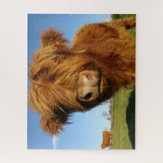 Fluffy Scottish Highland Cow - Blue Sky Puzzle (Vertikal)