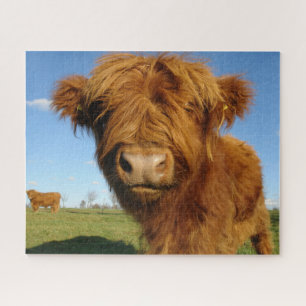 Fluffy Scottish Highland Cow - Blue Sky Puzzle