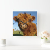 Fluffy Scottish Highland Cow - Blue Sky Quadratische Wanduhr (Zuhause)