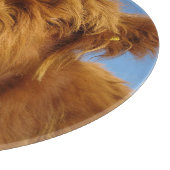 Fluffy Scottish Highland Cow - Blue Sky Schneidebrett (Ecke)