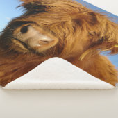 Fluffy Scottish Highland Cow - Blue Sky Sherpadecke (3/4)