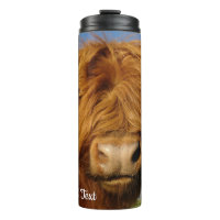 Fluffy Scottish Highland Cow - Blue Sky