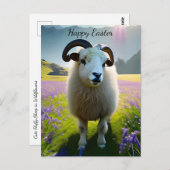 Fluffy Sheep Feld violette Blumen - Ostern Postkarte (Vorne/Hinten)