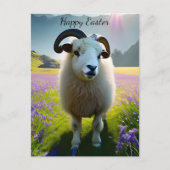 Fluffy Sheep Feld violette Blumen - Ostern Postkarte (Vorderseite)