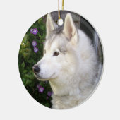 Fluffy Siberian Husky Puppy Dog Keramik Ornament (Links)