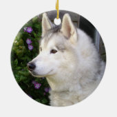 Fluffy Siberian Husky Puppy Dog Keramik Ornament (Hinten)