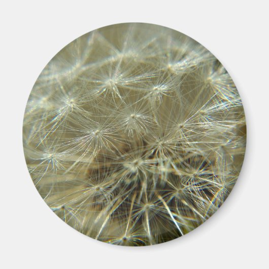 Fluffy Sphere - Magnet (Vorne)