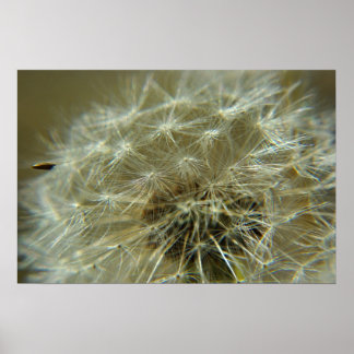 Fluffy Sphere - Poster