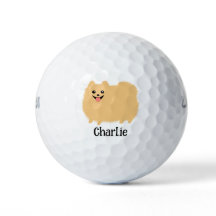 Fluffy Spitz Niedlicher Hund mit Individuelle Name