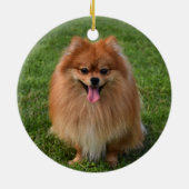 Fluffy Spitz Puppy Dog Keramik Ornament (Hinten)