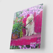 Fluffy Spitz Welpe auf der Rustic Garden Bench Quadratische Wanduhr (Winkel)
