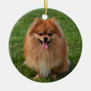Fluffy-Spitz-Welpenhund Keramik Ornament