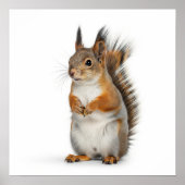 Fluffy Squirrel Art Poster (Vorne)