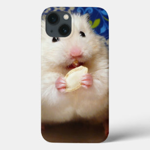 Fluffy Syrian Hamster Kokolinka iPhone 13 Hülle