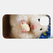 Fluffy Syrian Hamster Kokolinka Case-Mate iPhone Hülle (Rückseite (Horizontal))