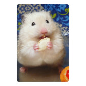 Fluffy Syrian Hamster Kokolinka Mini Klemmbrett (Rückseite)