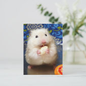 Fluffy Syrian Hamster Kokolinka Postkarte (Stehend Vorderseite)