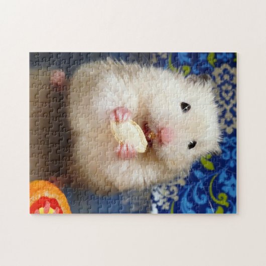 Fluffy Syrian Hamster Kokolinka Puzzle (Horizontal)