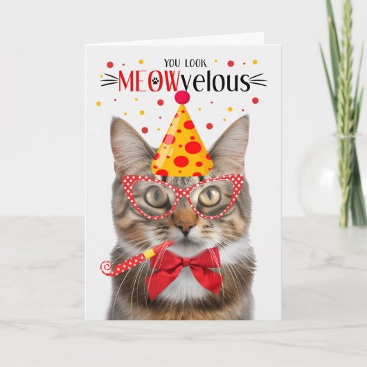Fluffy Tabby Cat MEOWvelous Birthday Karte (Vorderseite)