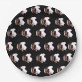 Fluffy Tortoiseshell Guinea Schweine, Papier Telle Pappteller (Vorderseite)