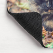 Fluffy Tortoiseshell Kitty im Herbst Mousepad (Ecke)