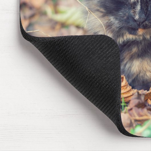 Fluffy Tortoiseshell Kitty im Herbst Mousepad (Ecke)