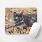 Fluffy Tortoiseshell Kitty im Herbst Mousepad (Mit Mouse)