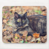 Fluffy Tortoiseshell Kitty im Herbst Mousepad (Vorne)