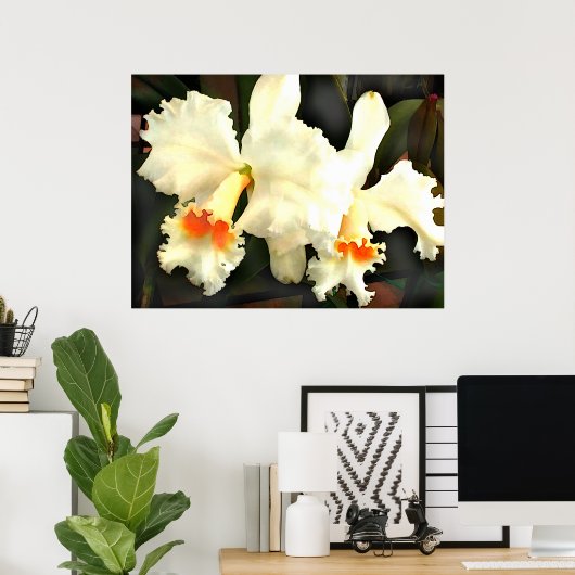 Fluffy White Cat...Tleyas Poster (Heimbüro)