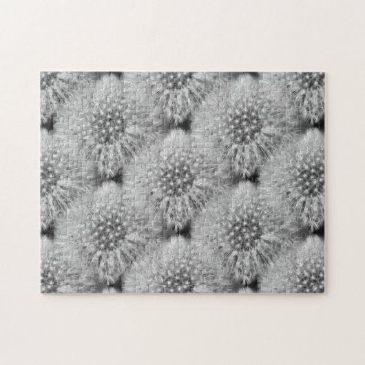 Fluffy White Dandelion Flowers Nature Puzzle (Horizontal)
