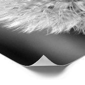Fluffy White Dandelion Schwarz-weiß Print Poster (Ecke)