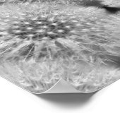 Fluffy White Dandelions Abstrakte Natur Poster (Ecke)