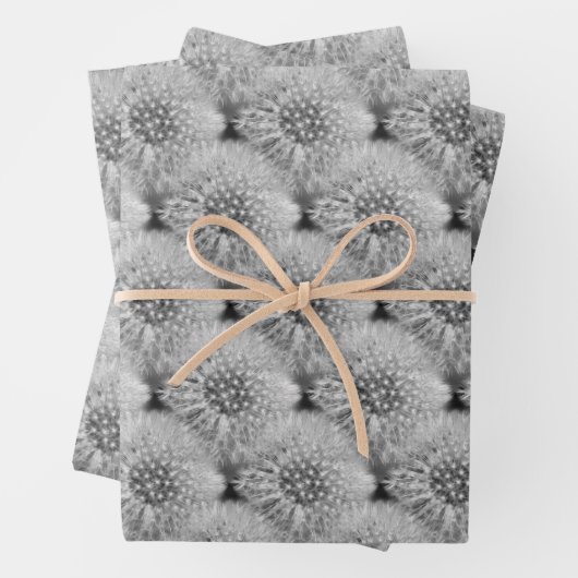 Fluffy White Dandelions Nattern Muster Geschenkpapier Set (Beispiel)